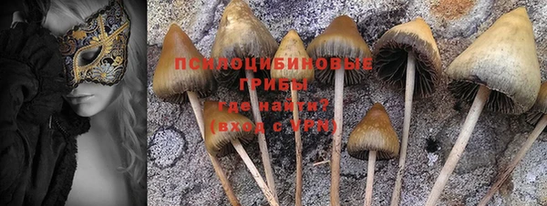 а пвп мука Гусь-Хрустальный