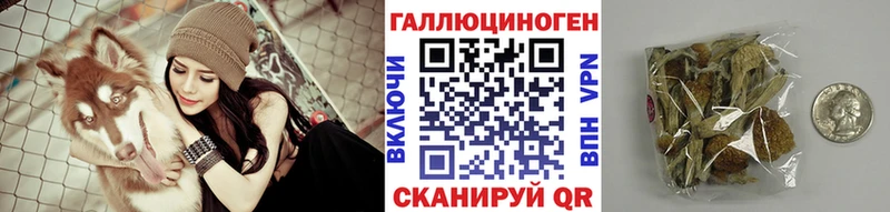 mega ТОР  Котельнич  Псилоцибиновые грибы GOLDEN TEACHER 